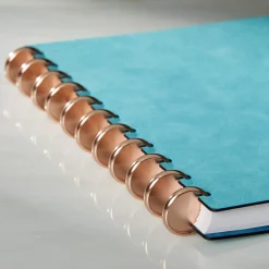 Aluminum Circa Notebook Discs (set of 11)