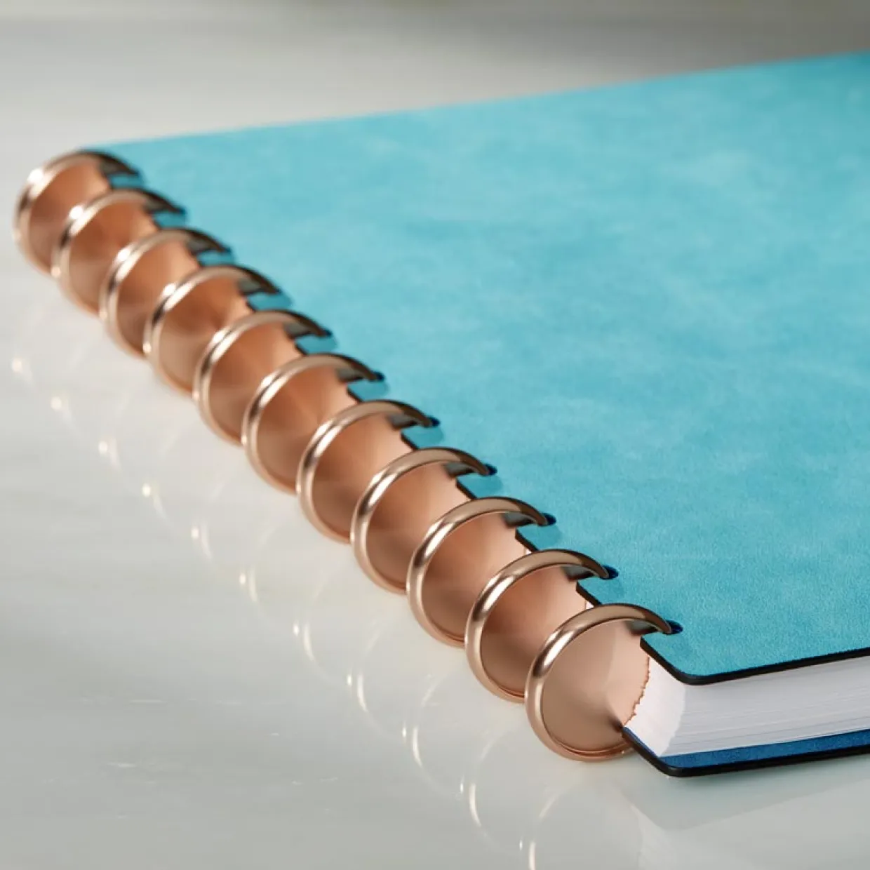 Aluminum Circa Notebook Discs (set of 11)