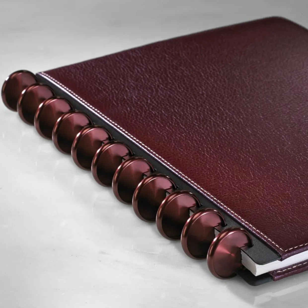 Aluminum Circa Notebook Discs (set of 11)