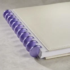Aluminum Circa Notebook Discs (set of 11)