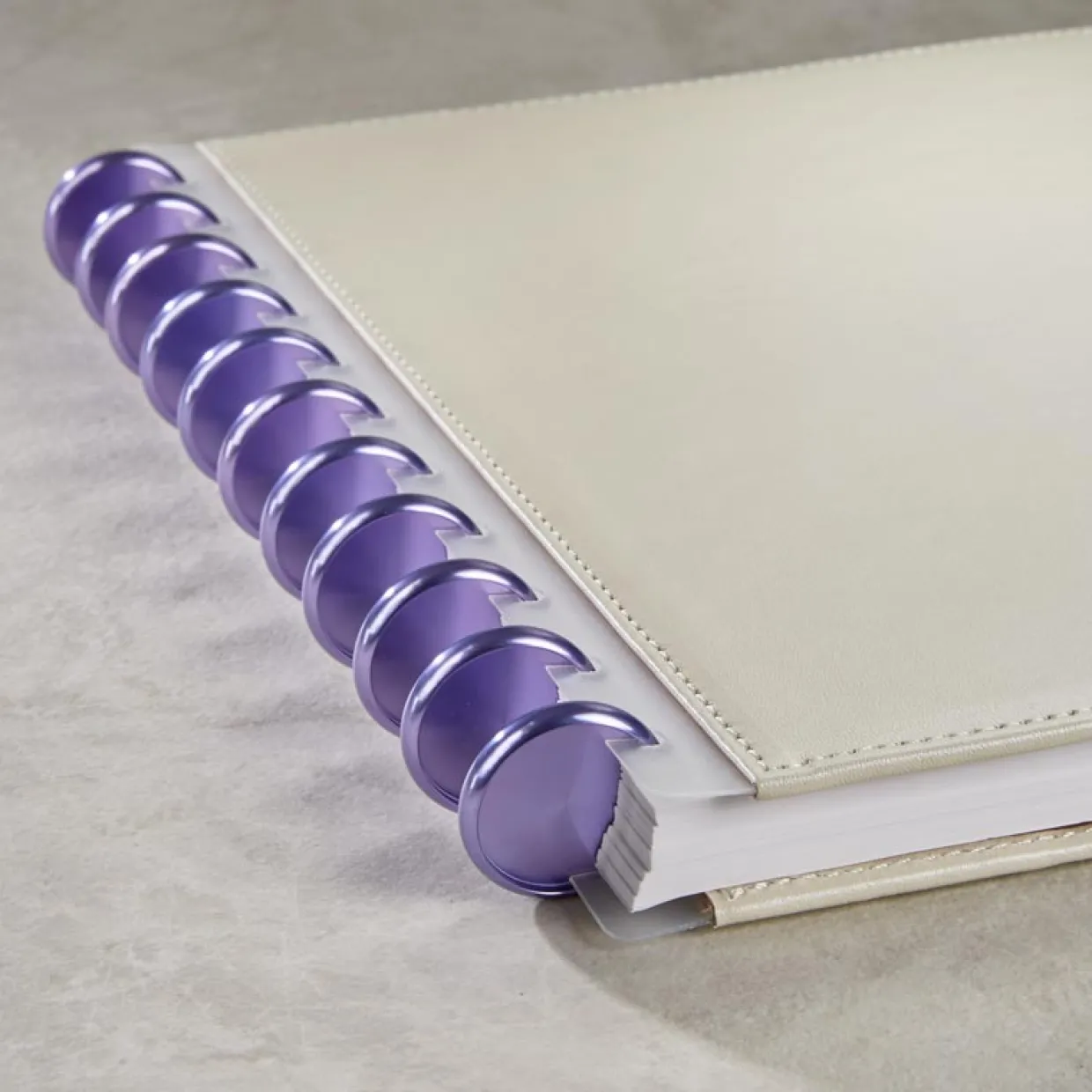 Aluminum Circa Notebook Discs (set of 11)