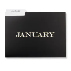 Avant-Garde Monthly File Folders (set of 12)