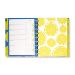 Circa Lemonade Weekly/Monthly Undated Agenda Notebook