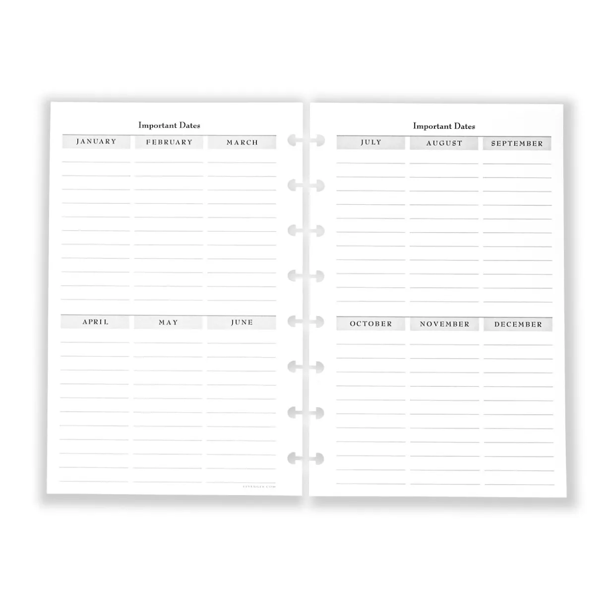 Circa 5-Year Journal Refill (185 sheets)
