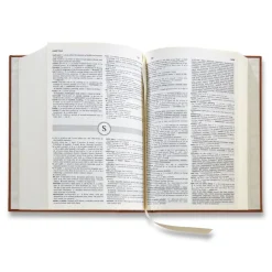 Dictionary & Thesaurus
