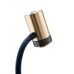 Focus Point Task Floor Light