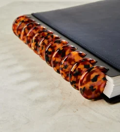 Kyoto Circa Notebook Discs
