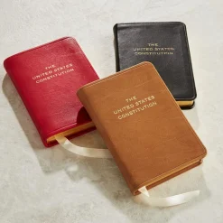 Mini Constitution