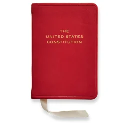 Mini Constitution