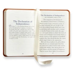 Mini Constitution