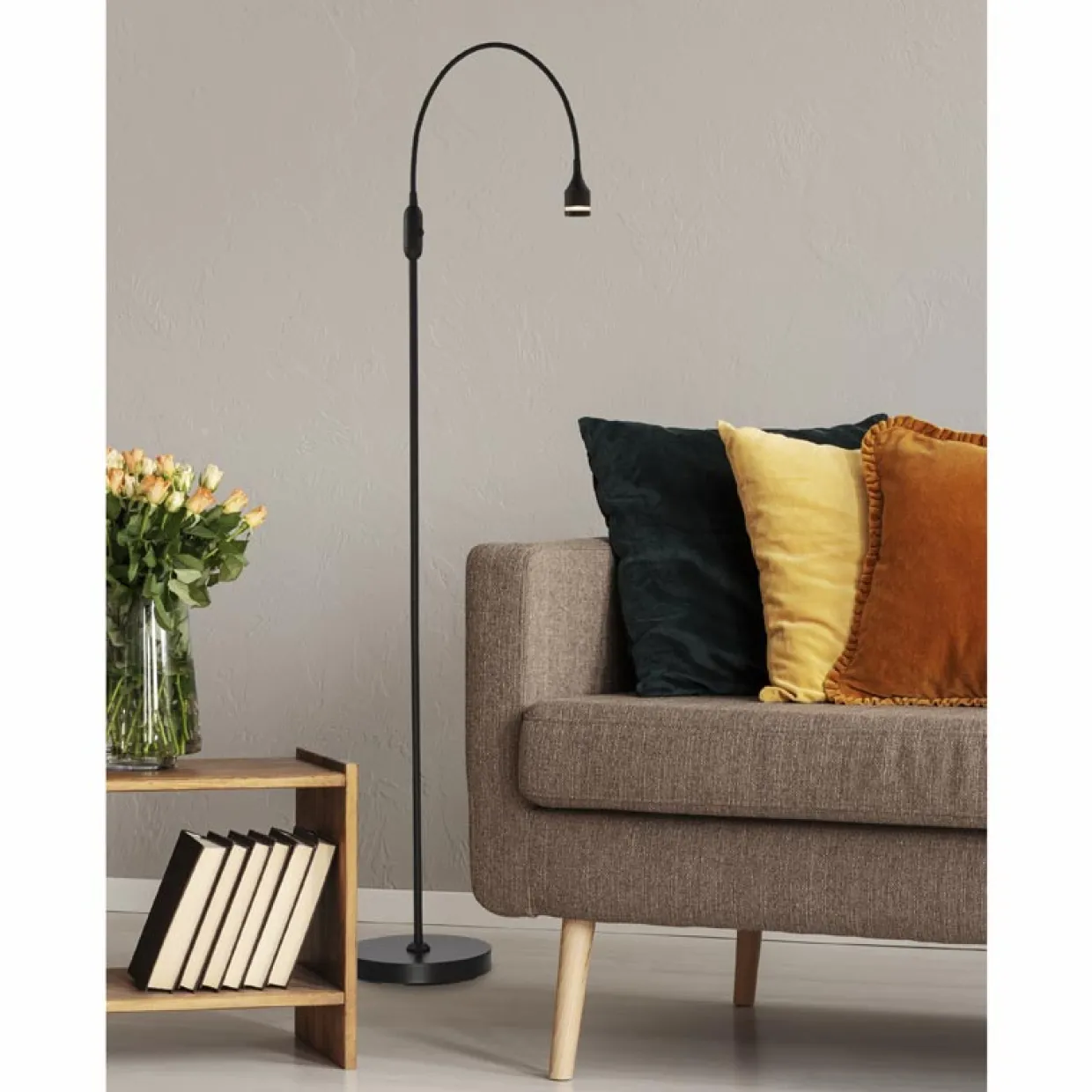 Overarching LED Floor Lamp