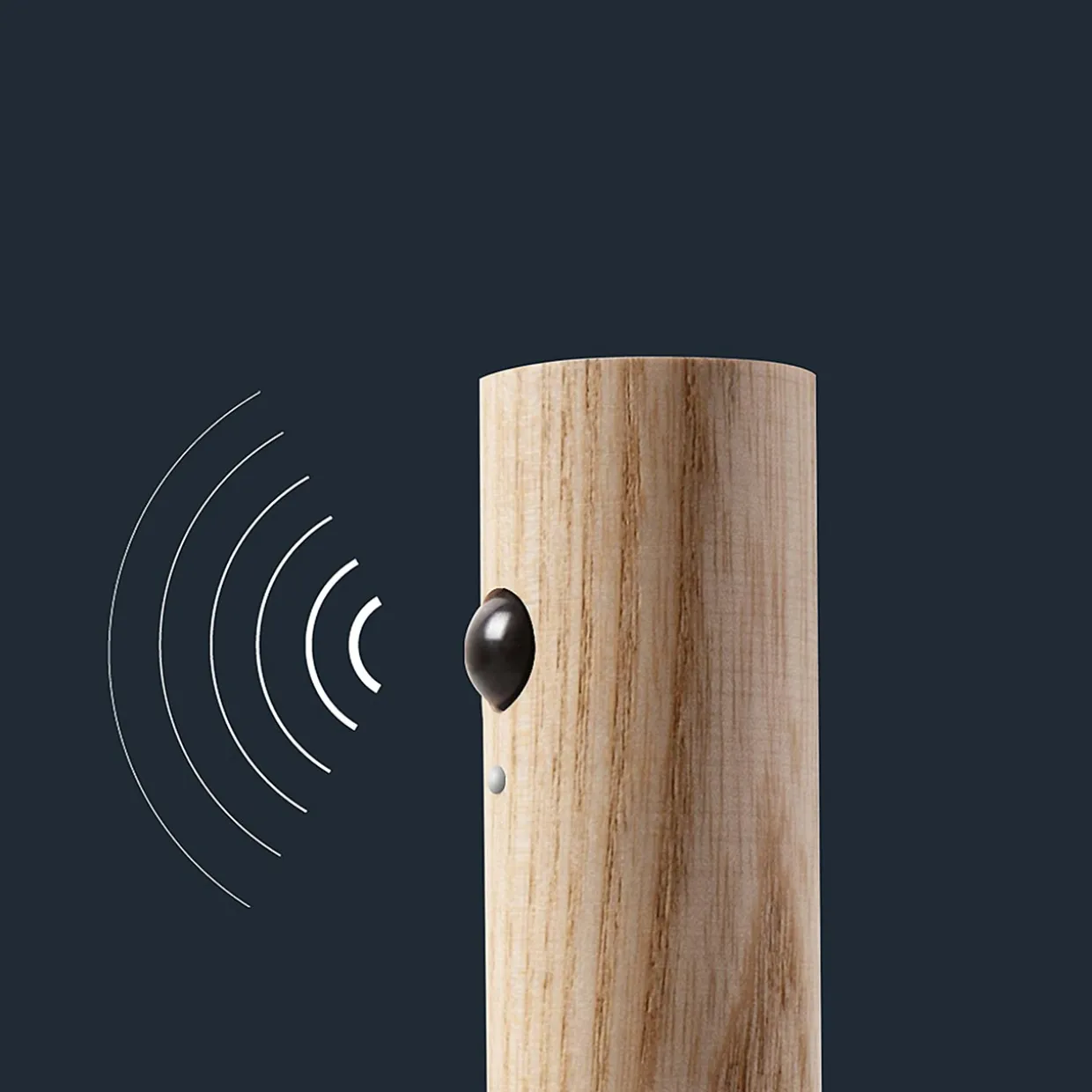 Smart Baton Light