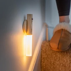 Smart Baton Light