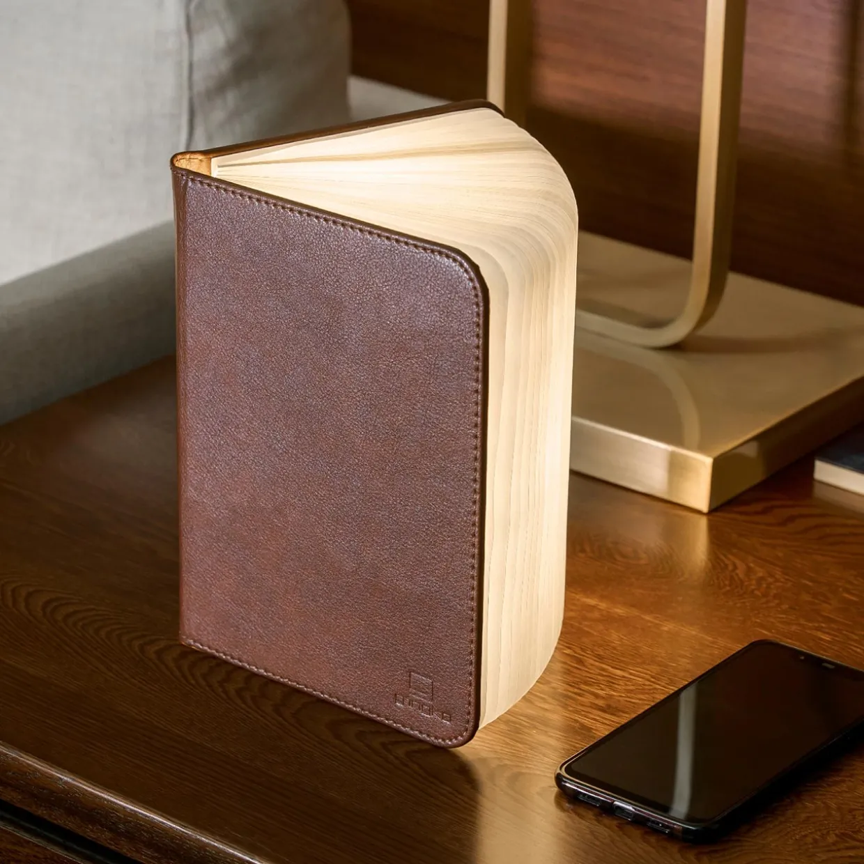 Smart Book Light