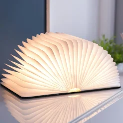 Smart Book Light