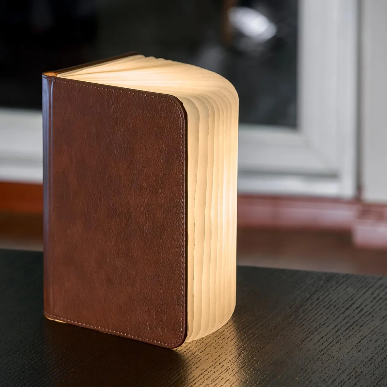 Smart Book Light