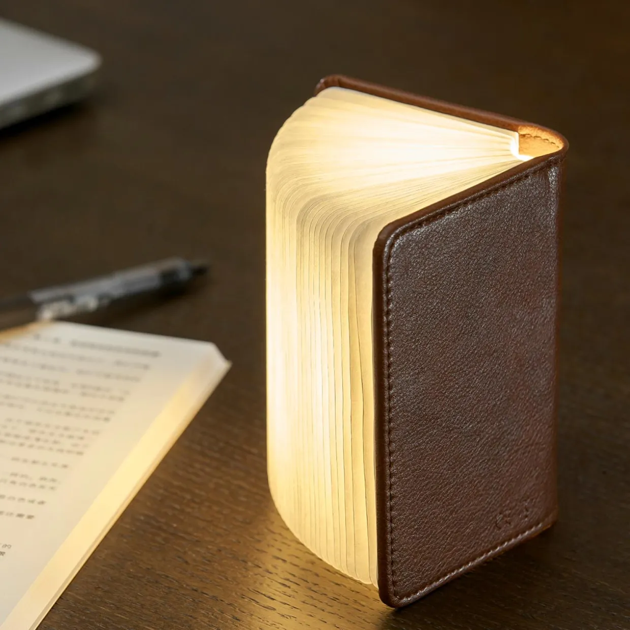 Smart Book Light