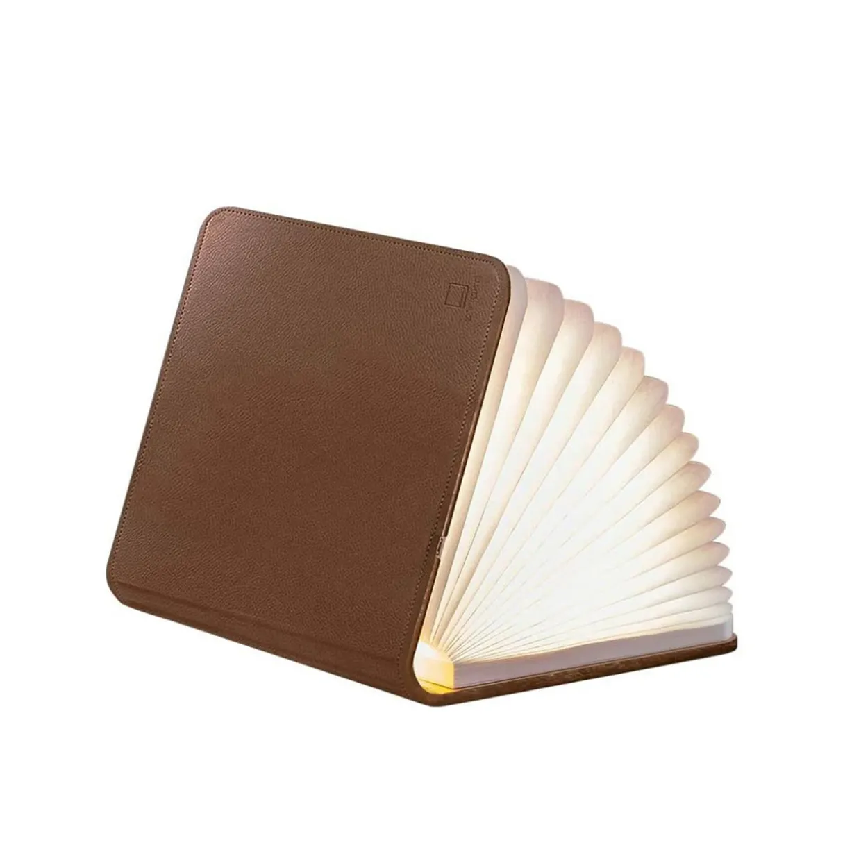 Smart Book Light