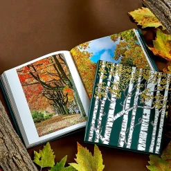 The Hidden Life of Trees Leather Bound Edition