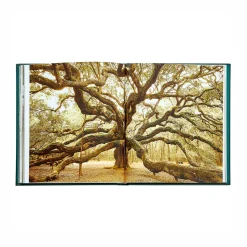 The Hidden Life of Trees Leather Bound Edition