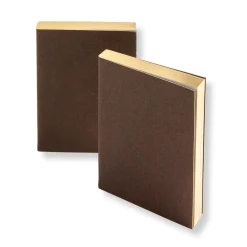 Tiny Little Stanley Notebook (set of 2)